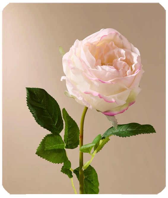 D PA F35 070 OR PROOF